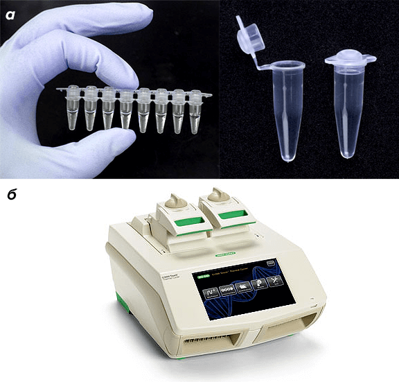 Расходные материалы и оборудование для ПЦР