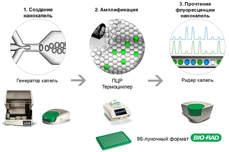 Схема цифровой ПЦР