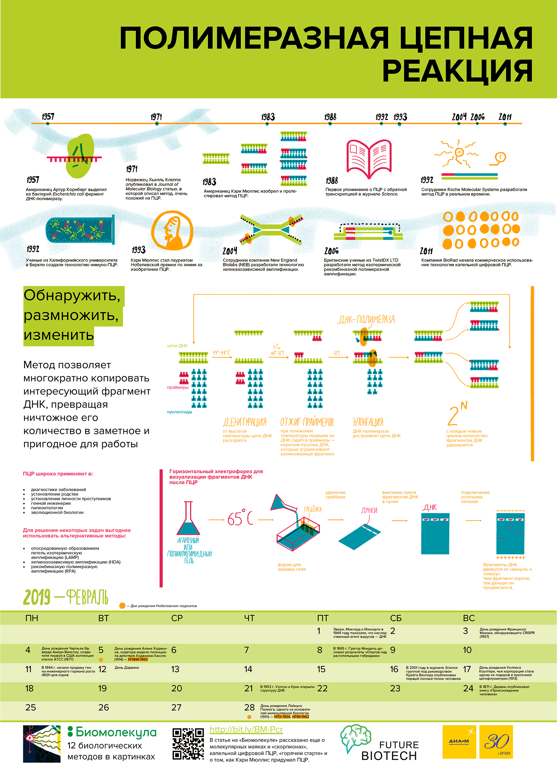 Календарь «12 методов биологии» на 2019 год, февраль