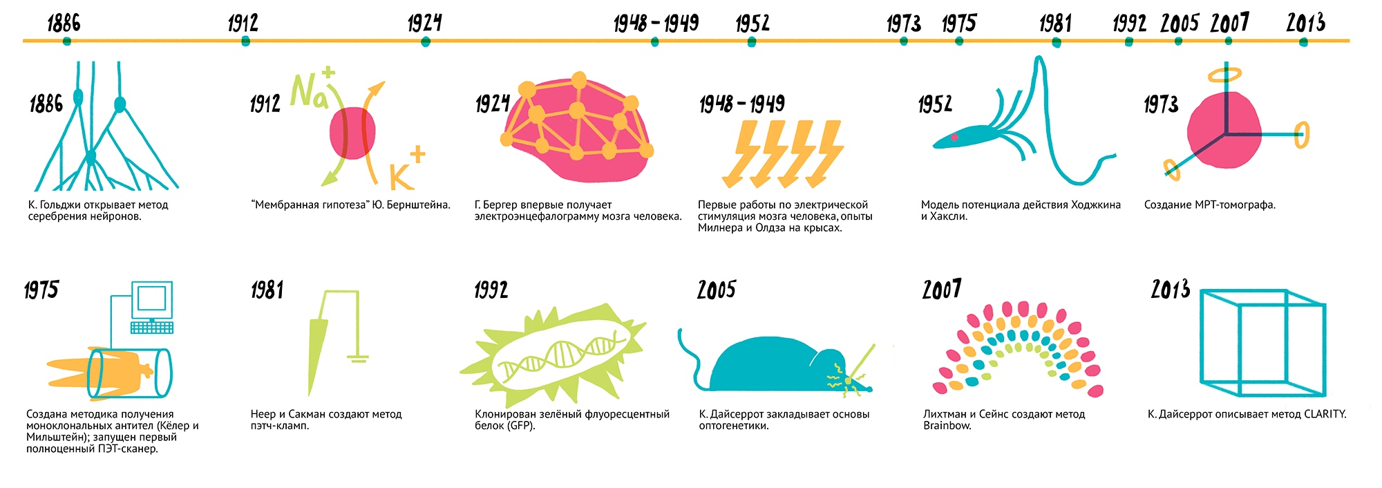 Наиболее заметные открытия нейробиологии