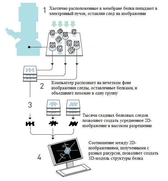 Метод Франка