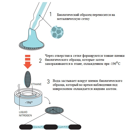 Метод Дюбоше