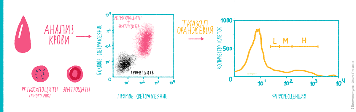 Цитофлуориметрическая диагностика гематопоэтических болезней