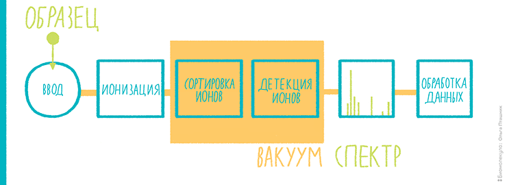 Примерная схема масс-спектрометрии