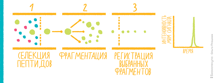 Мониторинг множественных реакций