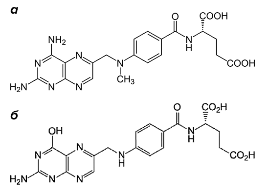 Метотрексат и фолат