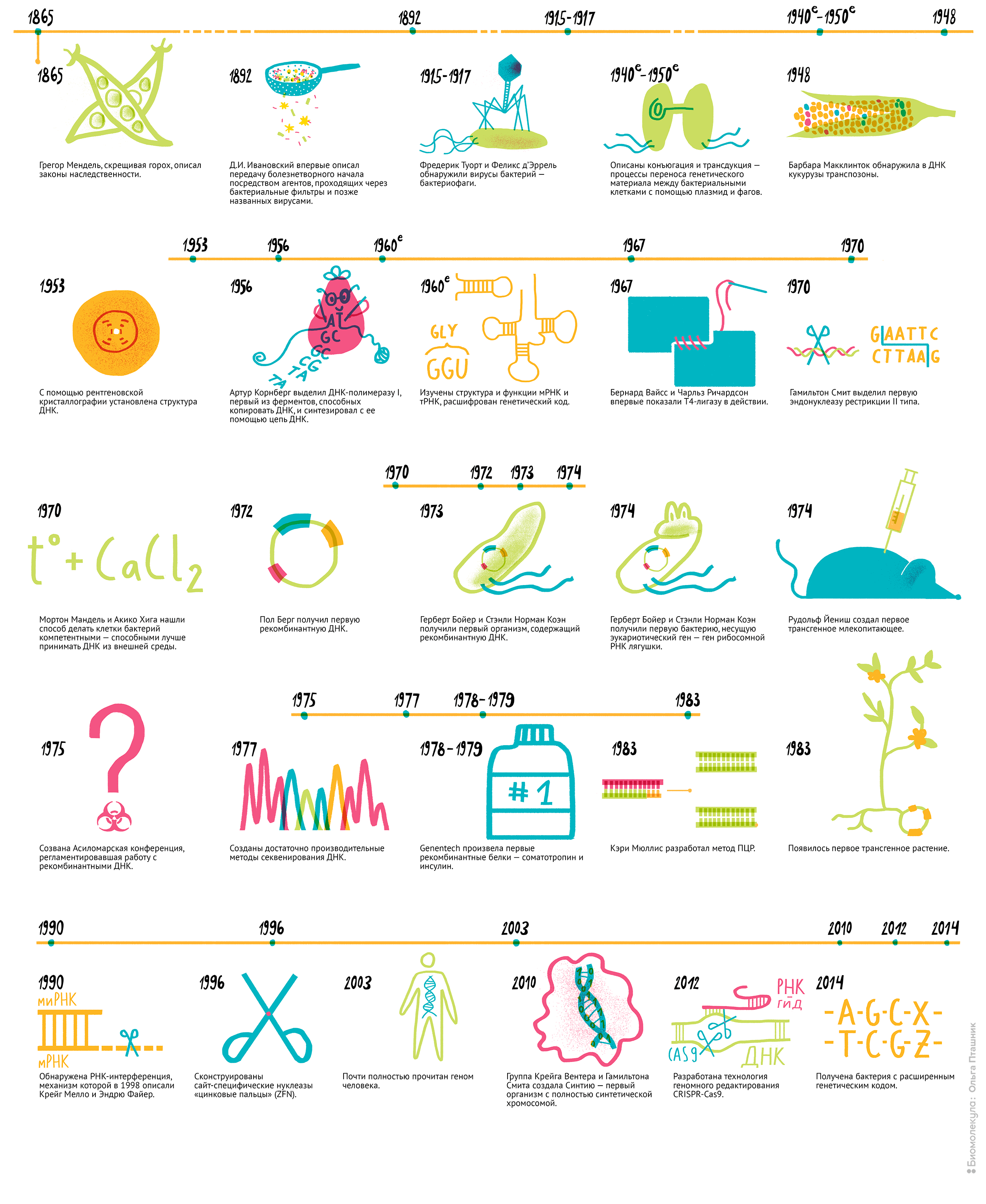 Краткая история генной инженерии