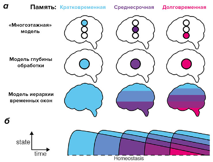 Модели памяти