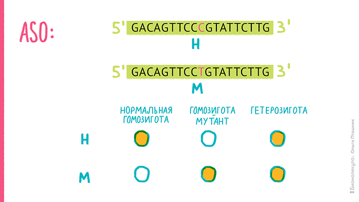 Дискриминация аллелей с помощью дот-блоттинга