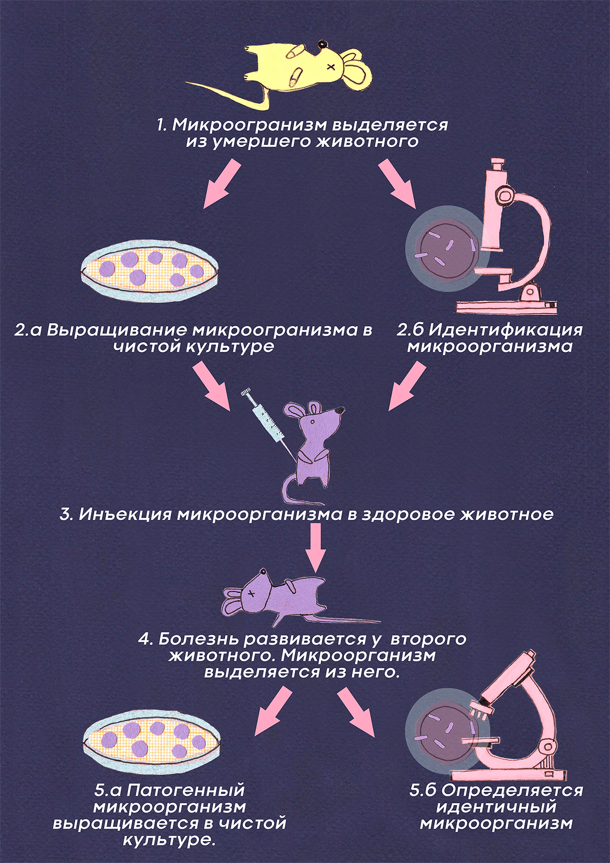 Постулаты Коха