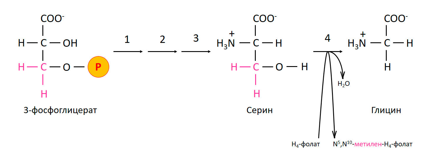 Синтез глицина