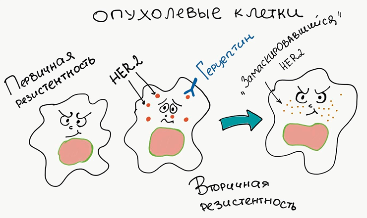 Возникновение резистентности