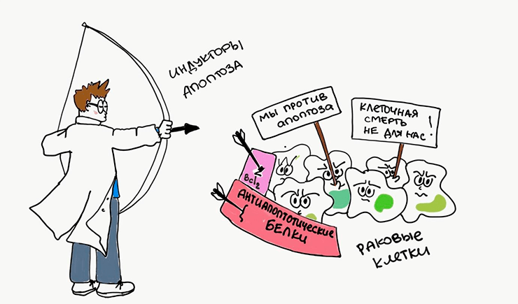 Раковые клетки стремятся избежать апоптоза