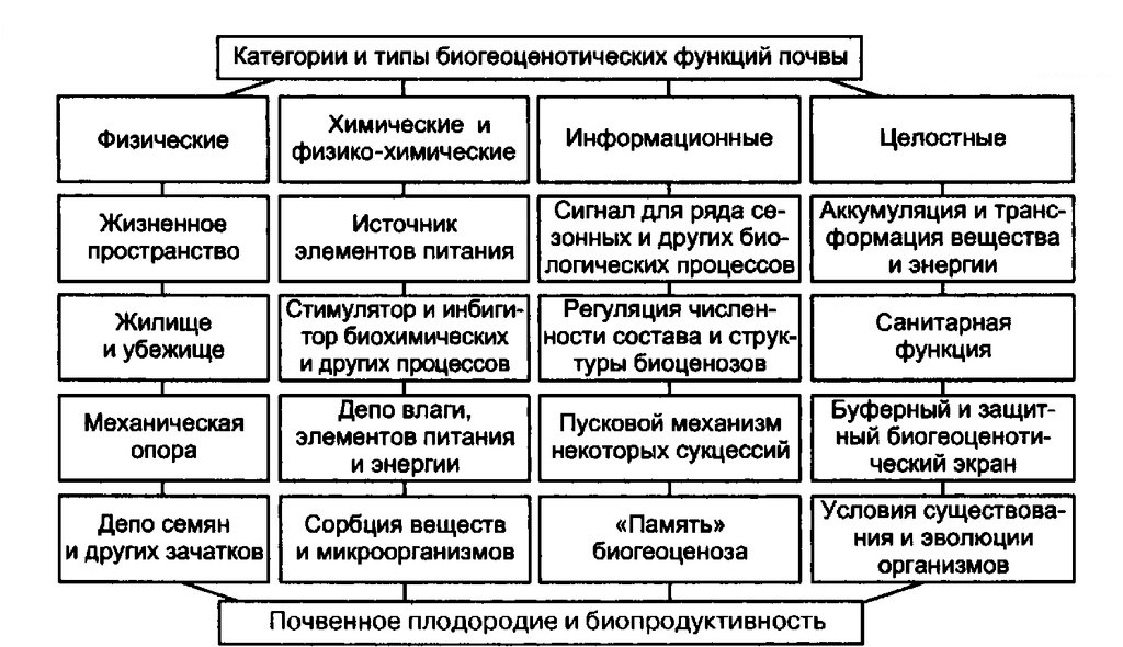 Биоценотические функции почв