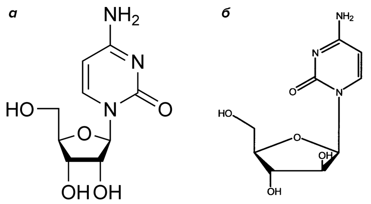 Цитидин и цитарабин