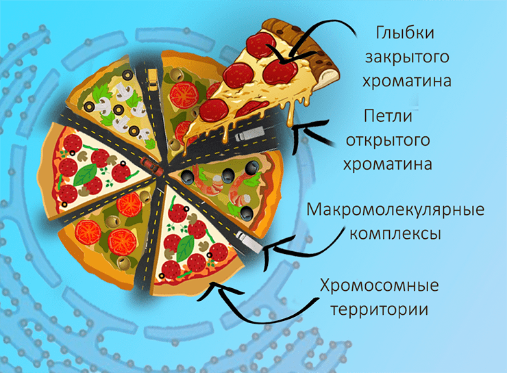 Организация ядра в целом