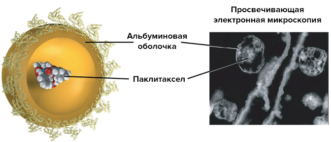 Строение наночастиц «Абраксана»