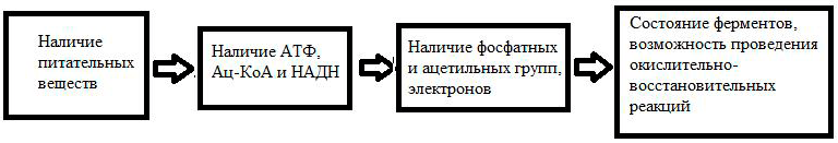 Как поступление питательных веществ контролирует протекание реакций и состояние ферментов в клетке