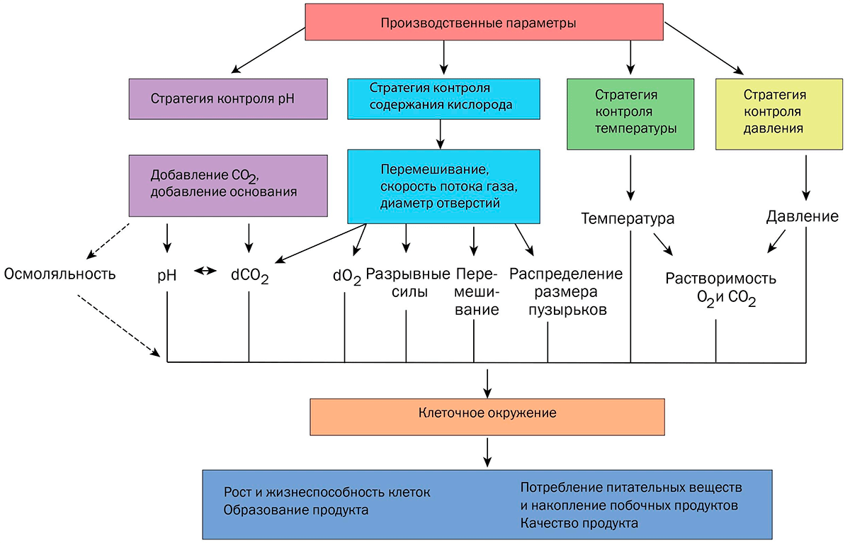 Операционные параметры процесса культивирования