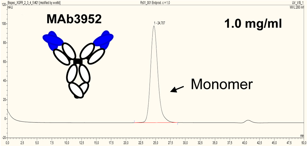 Хроматограмма исходного антитела