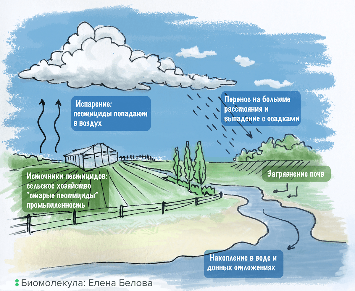 Миграция пестицидов в окружающей среде