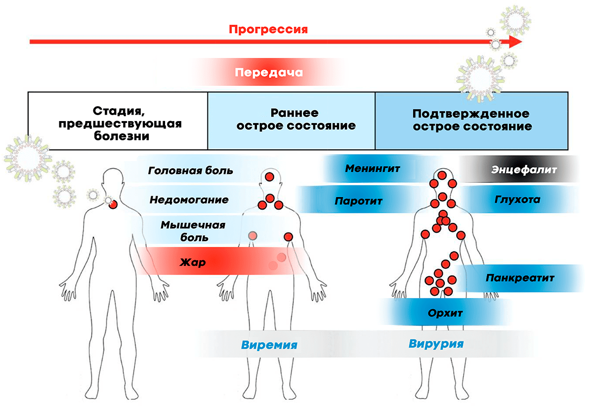 Клинические проявления