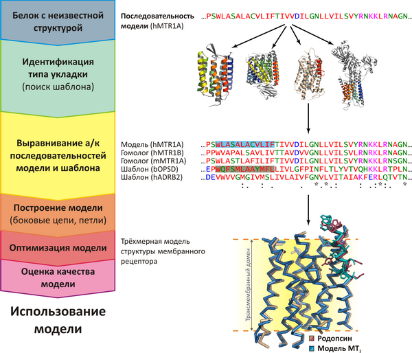 Схема моделирования по гомологии