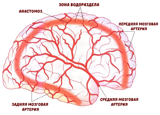 «Зоны водораздела»