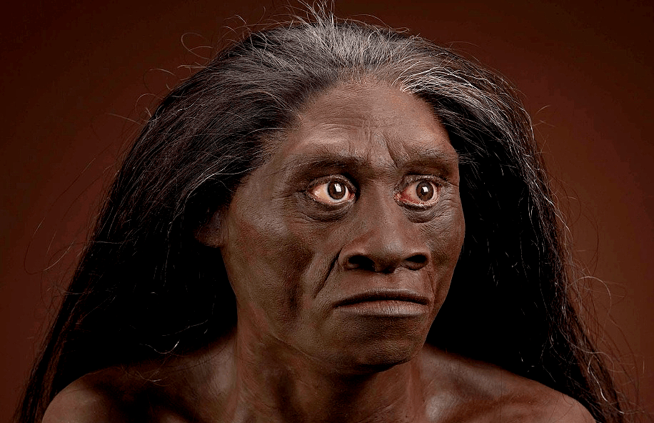 Homo floresiensis