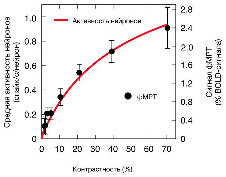 Изменение сигнала фМРТ человека