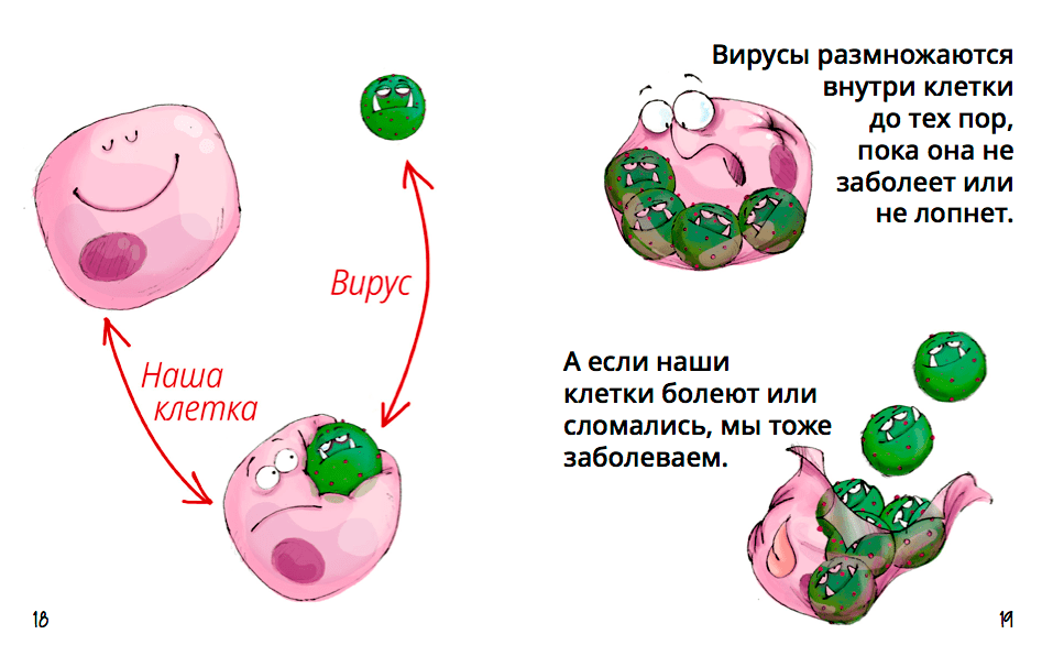 Как Паша заболел корью