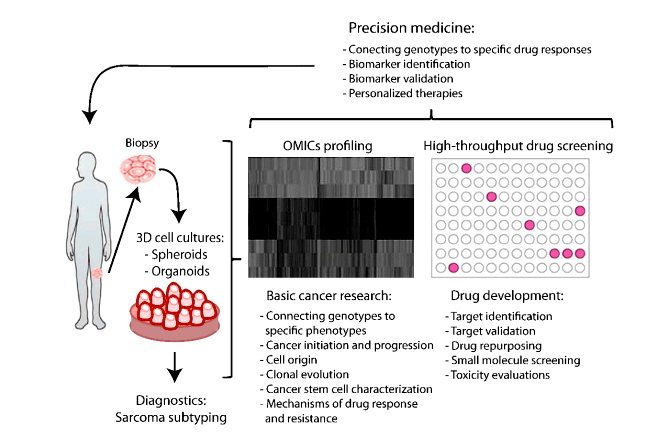 От биопсии до персонализированной медицины