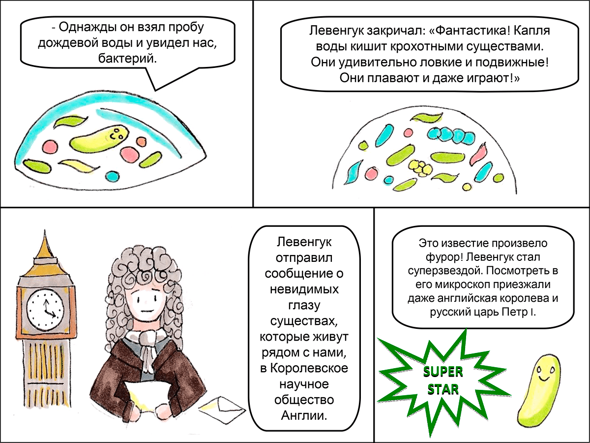 Бактерии vs мыло