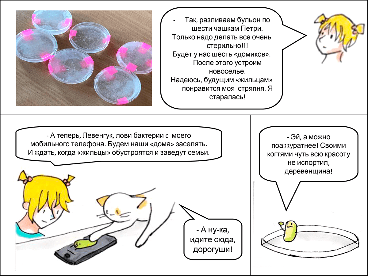 Бактерии vs мыло