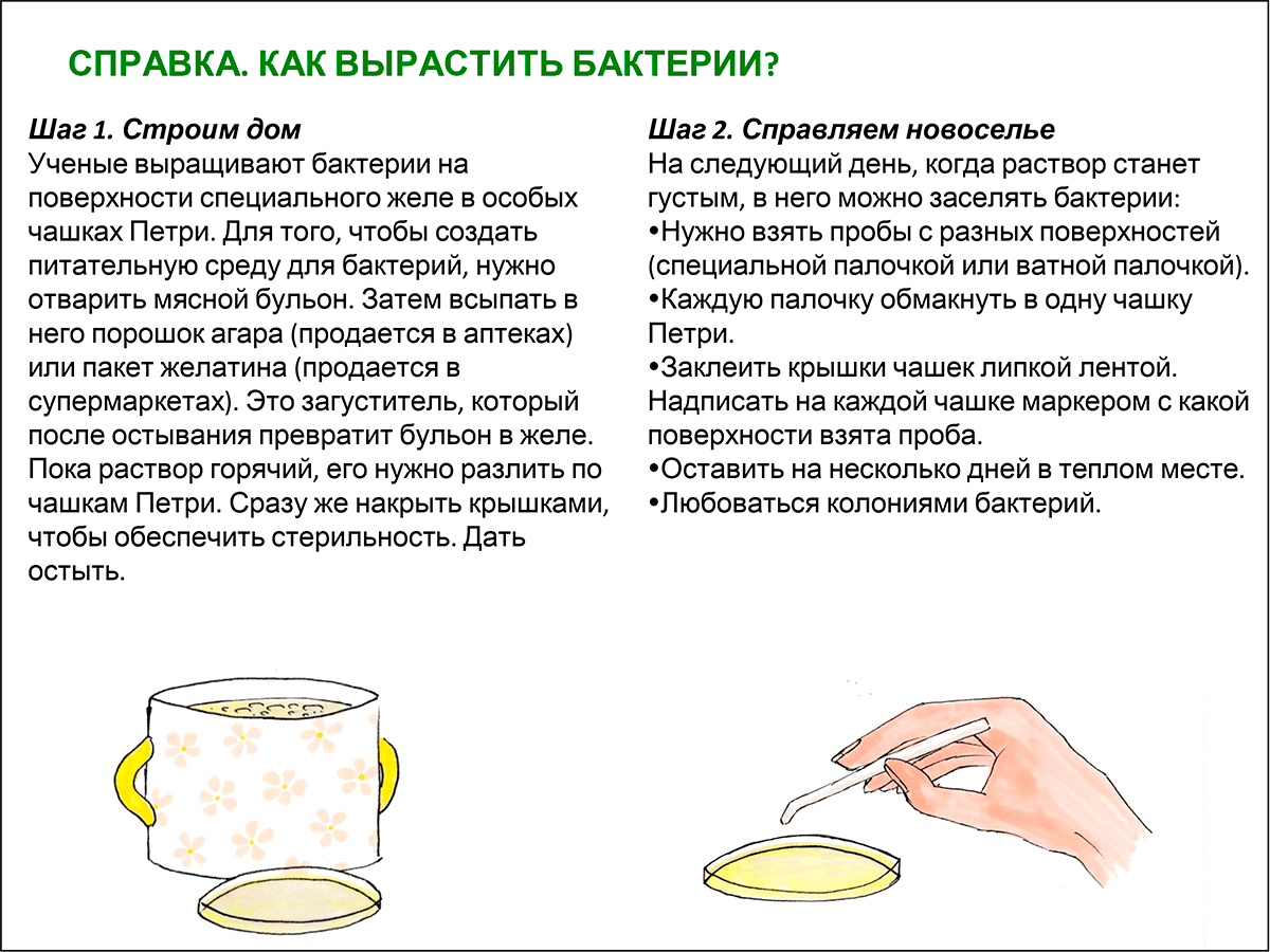 Бактерии vs мыло