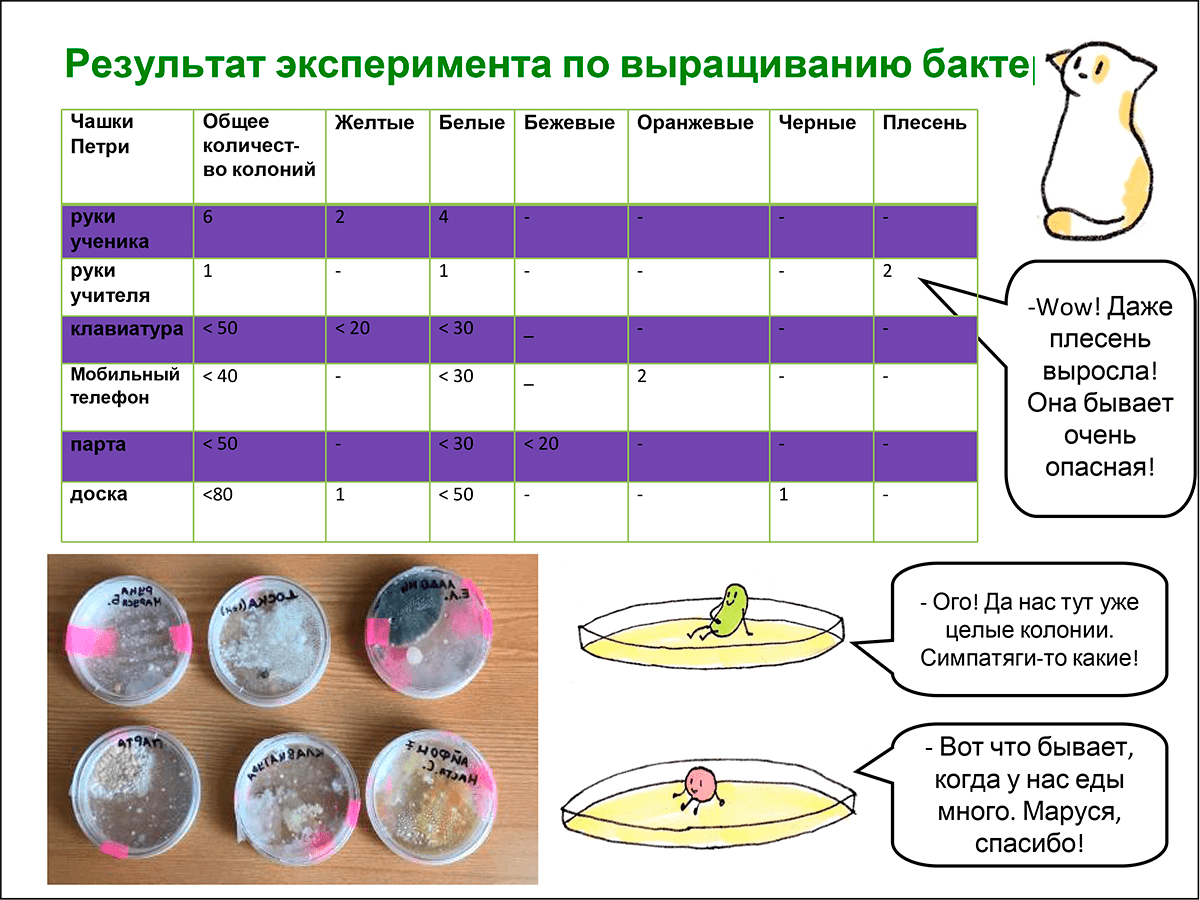 Бактерии vs мыло