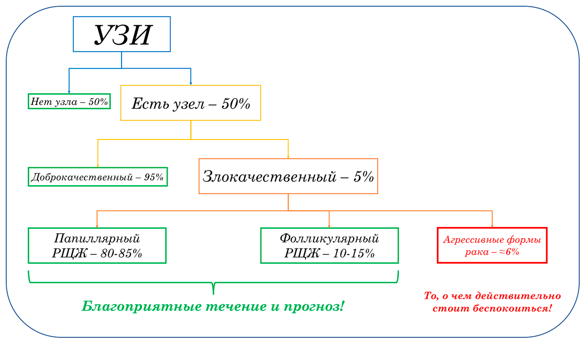 Что даст нам УЗИ щитовидки на самом деле?