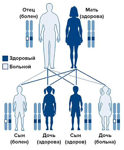 Аутосомно-доминантное наследование