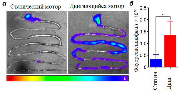 Результаты тестирования микромотора