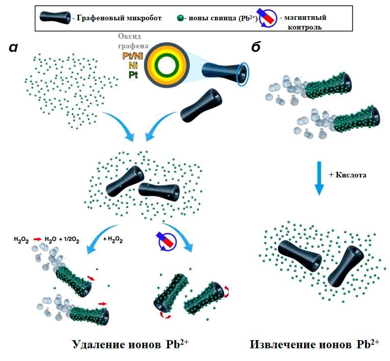 Использование графенового микробота для сбора и извлечения ионов свинца