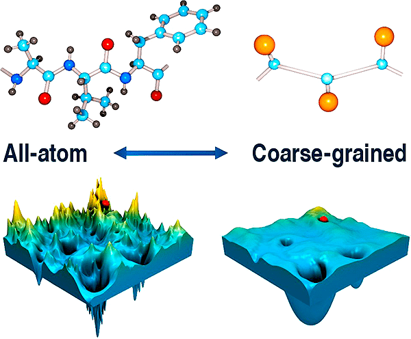 coarse-grained