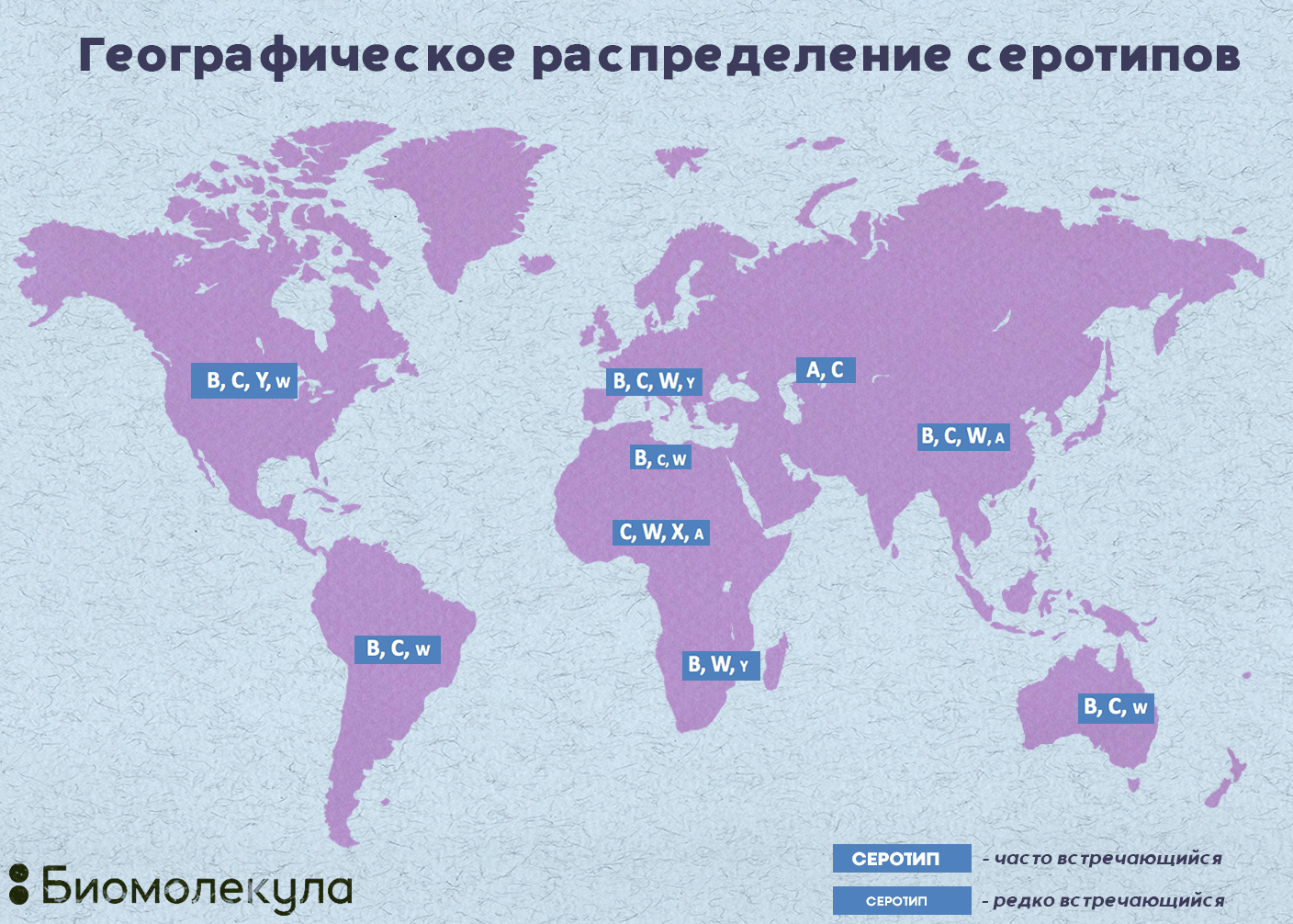 Географическое распределение серотипов Neisseria meningitidis