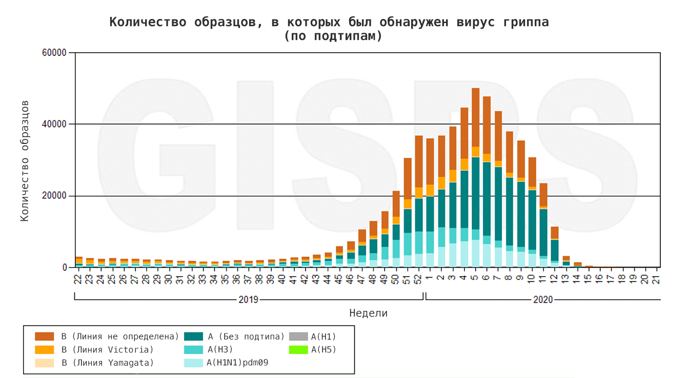 Образцы вируса, собранные в северном полушарии в течение 2019–2020 годов