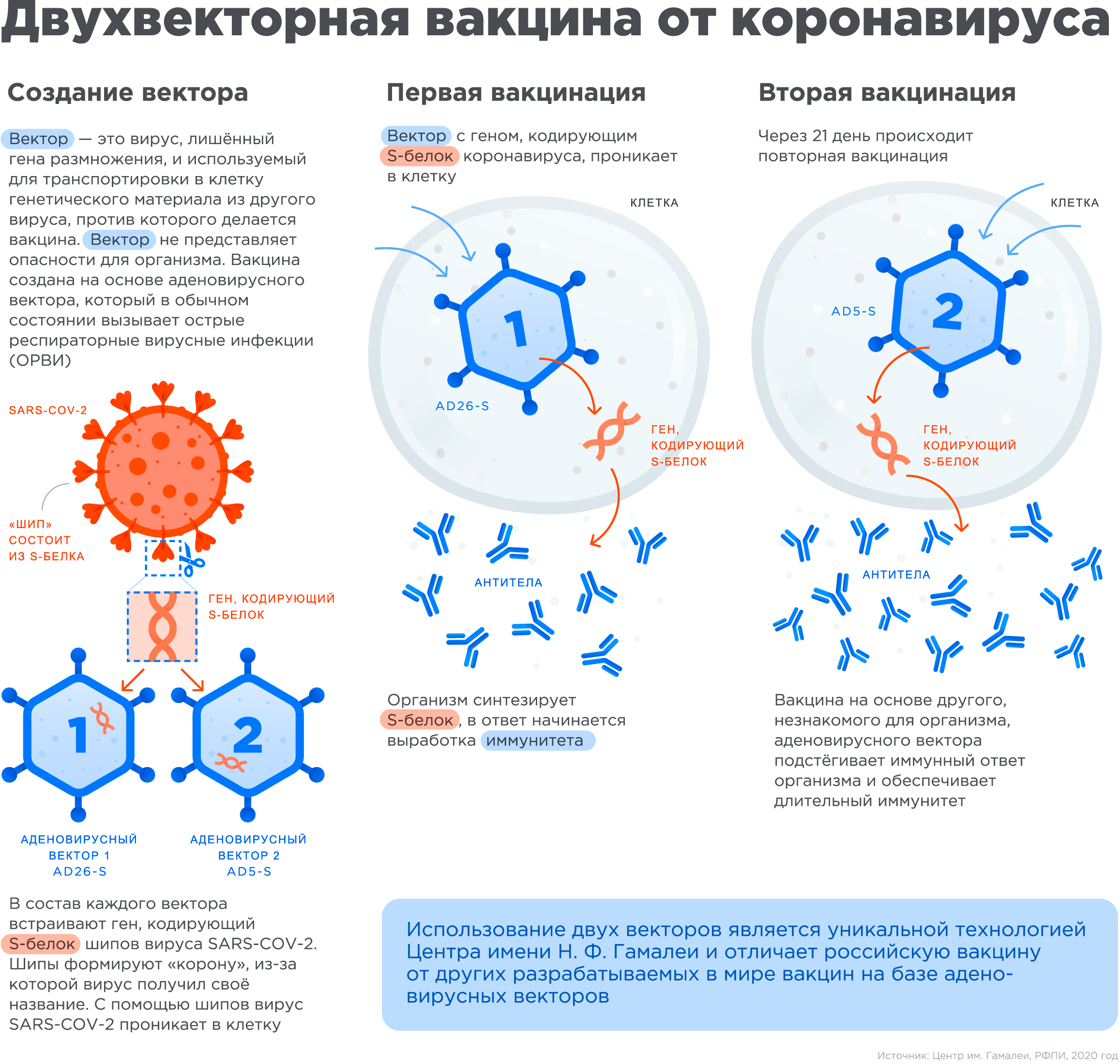 Принцип создания вакцины от SARS-CoV-2 учеными из НИЦЭМ им. Н.Ф. Гамалеи