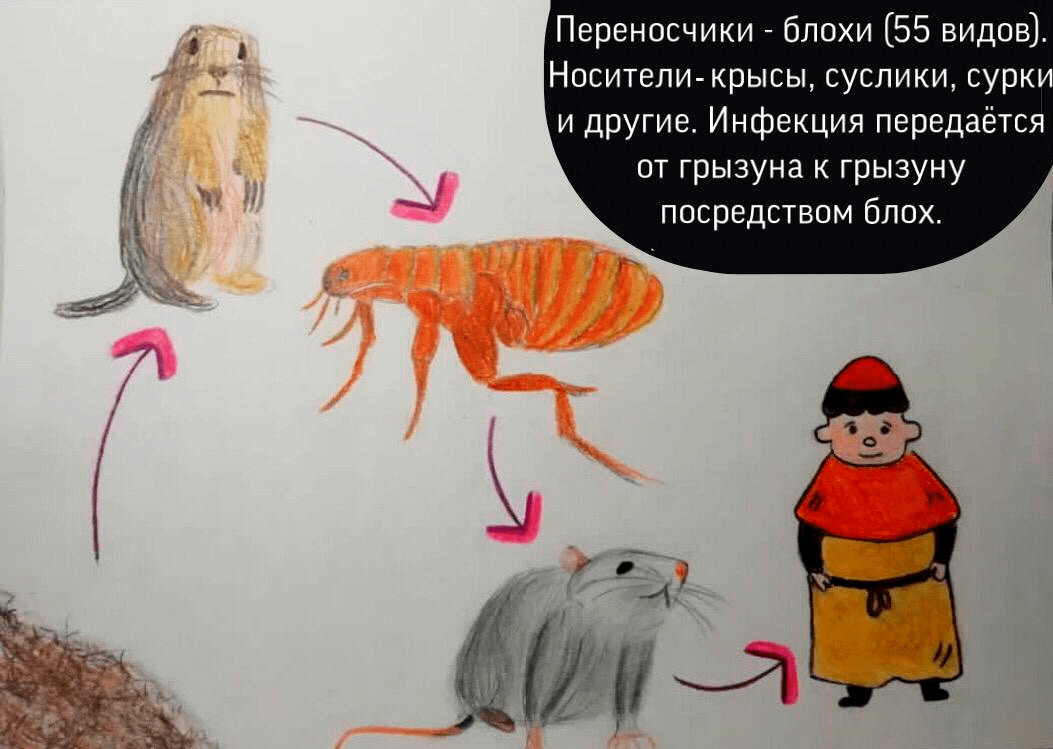 Чума, или Чумовая вечеринка