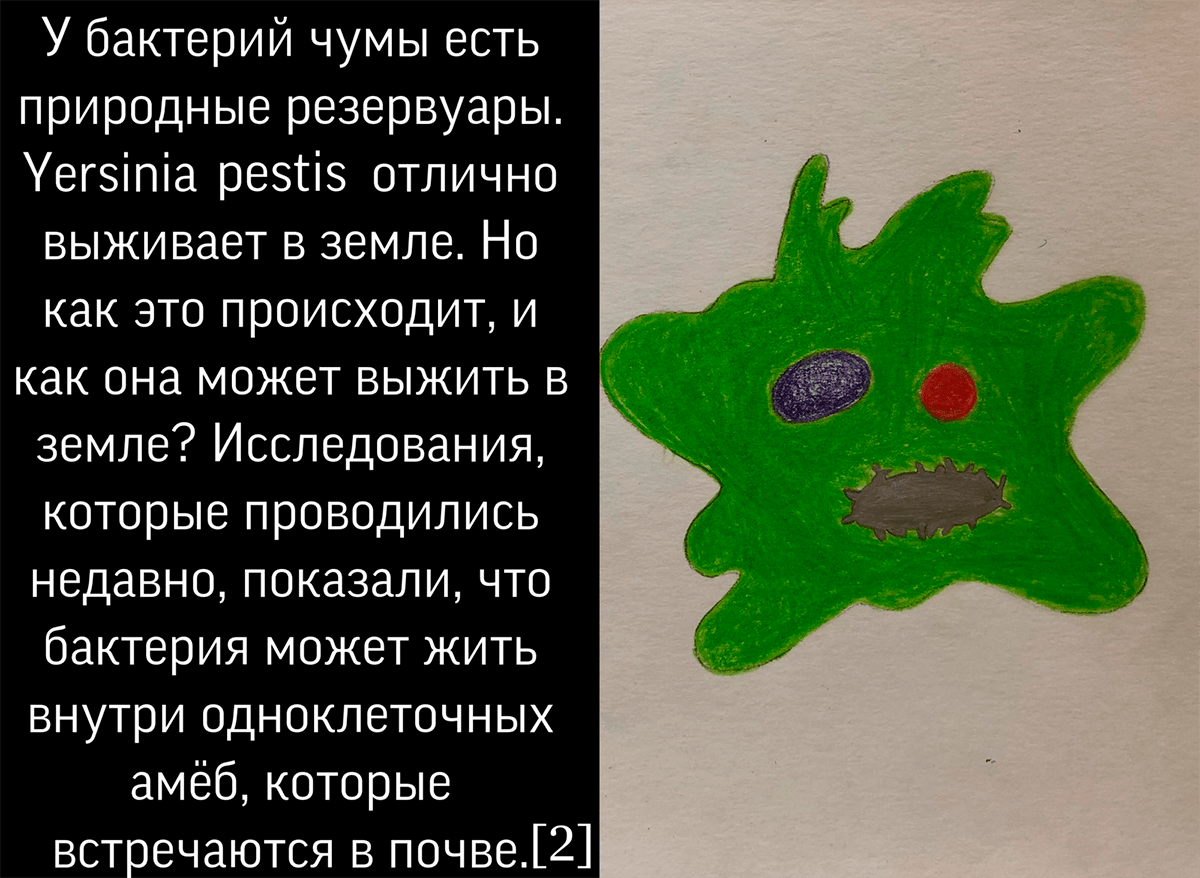 Чума, или Чумовая вечеринка