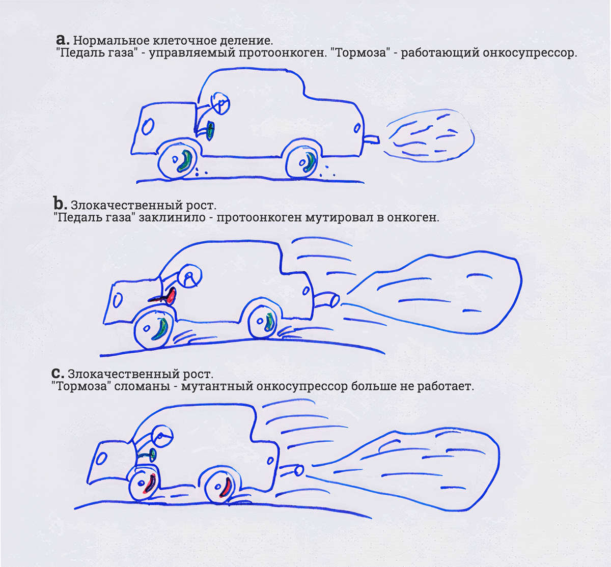 Раковая клетка как взбесившийся автомобиль