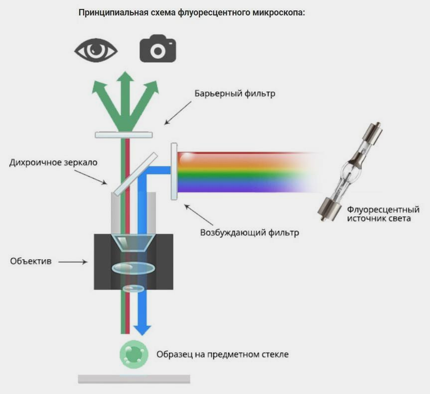 Принцип работы