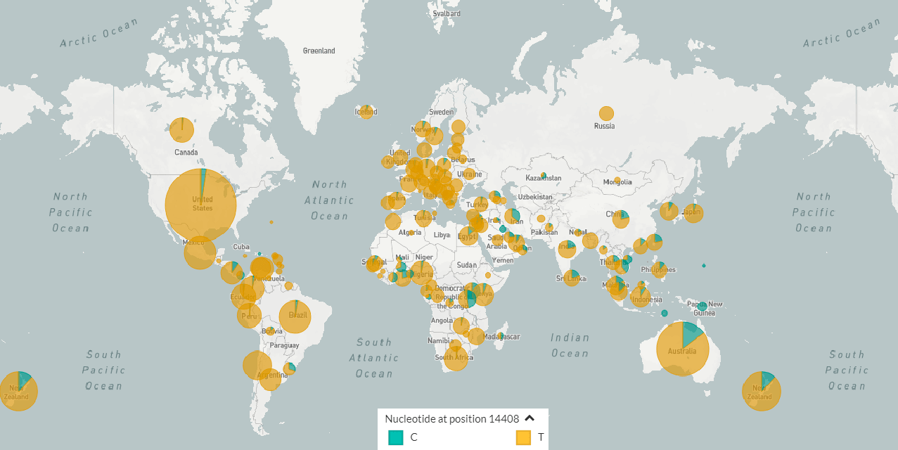 Карта распространения генетических вариантов SARS-CoV-2