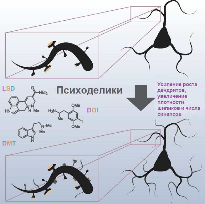Психоделические вещества